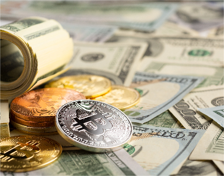 Fidelity Guarantee Insurance